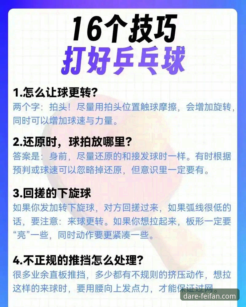 非凡体育平台乒乓球赛事深度解读教程
